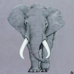 Paintings of Elephants