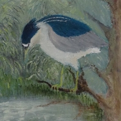 Bird Paintings by Rob Kamerling
